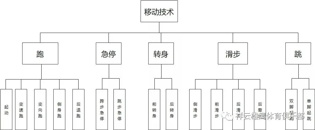 女性篮球运动员如何利用高科技优化训练_1
